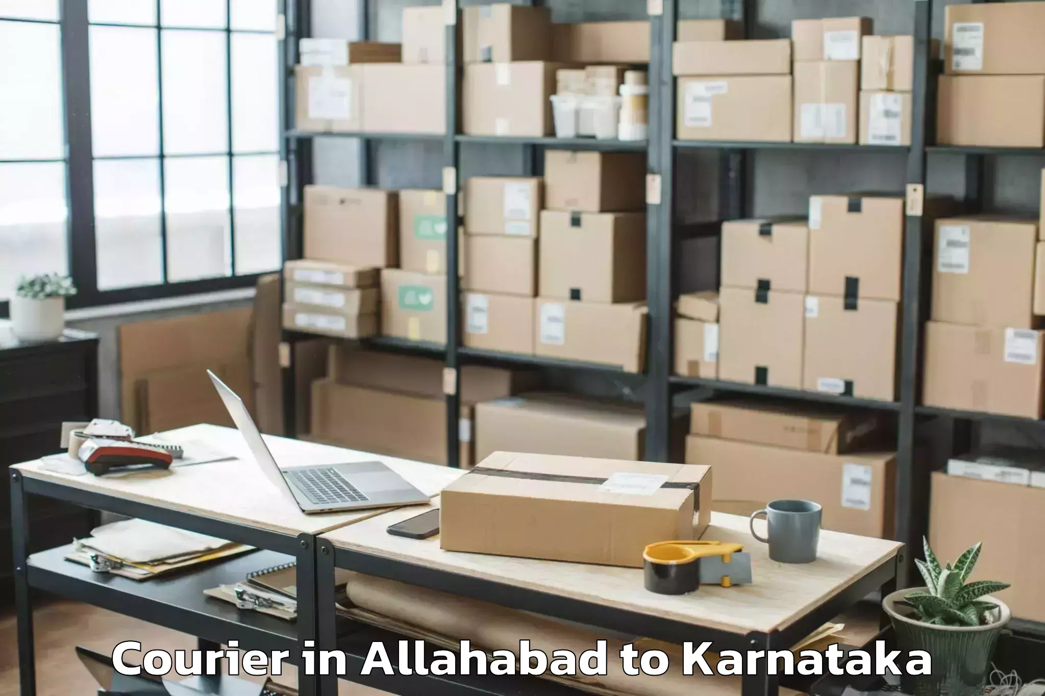 Professional Allahabad to Huliyar Courier